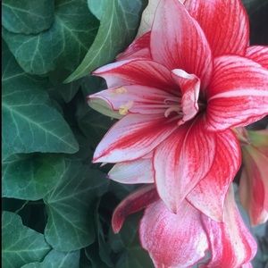 Meet your Posher, Gretchen